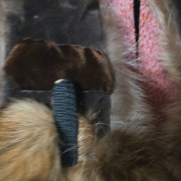 Racoon Fur Stole - Picture 3 of 5